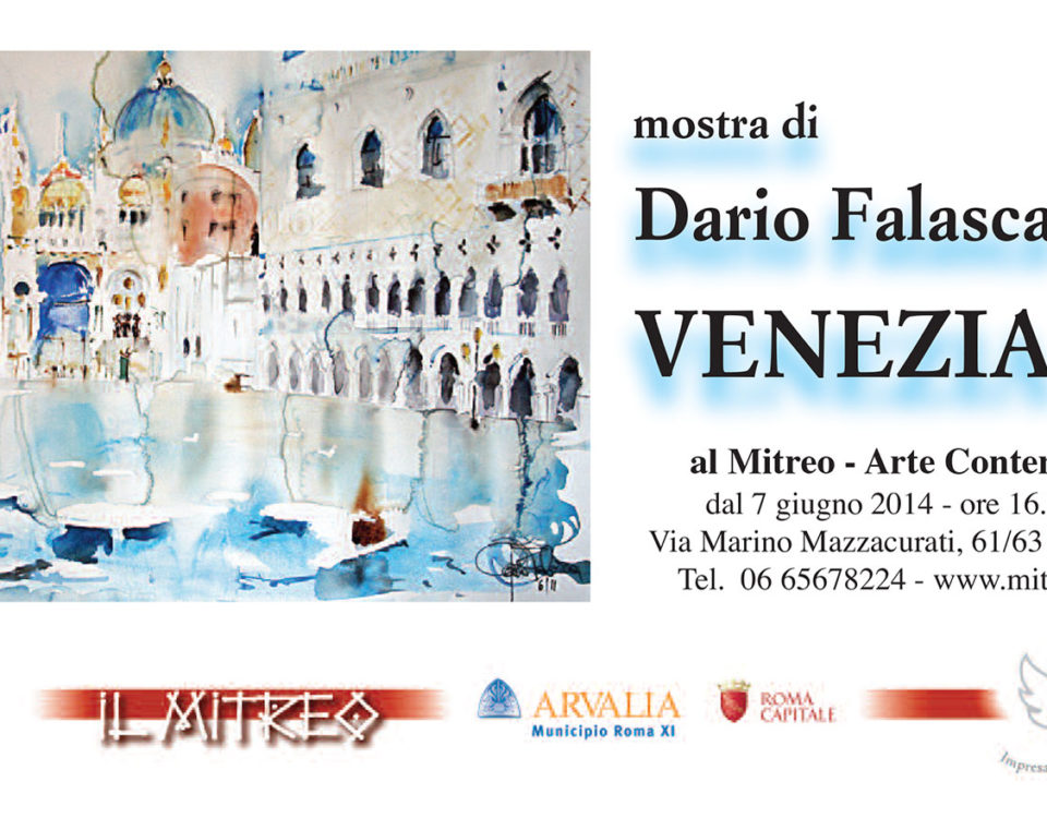 venezia mostra di dario falasca